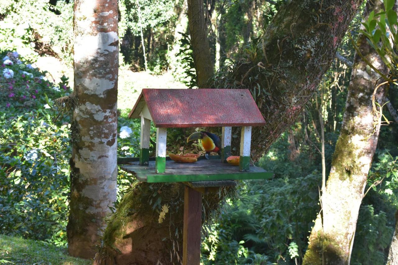 Pousada Amanita Monte Verde Monte Verde  Exteriér fotografie